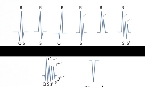 西黄胶囊禁忌什么食物-西黄胶囊禁忌什么食物专区_西黄胶囊禁忌食物专区_西黄胶囊禁忌网